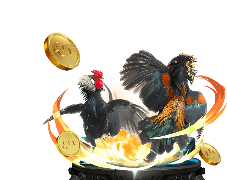 Đa dạng trận đấu đá gà trực tuyến